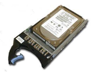 (NEW PARALLEL) IBM 44W2246 600GB 15000RPM SAS 6GBPS 3.5INCH HOT SWAP HARD DISK DRIVE WITH TRAY - C2 Computer